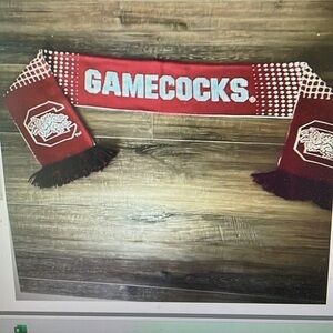University of South Carolina Gamecocks knit neck scarf